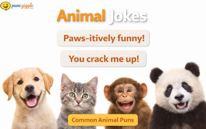 Animal Jokes