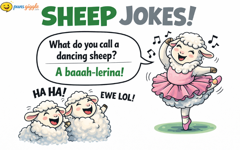 sheep Jokes
