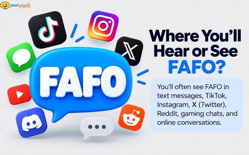 FAFO Meaning in Text