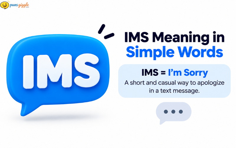 What Does IMS Mean in Text