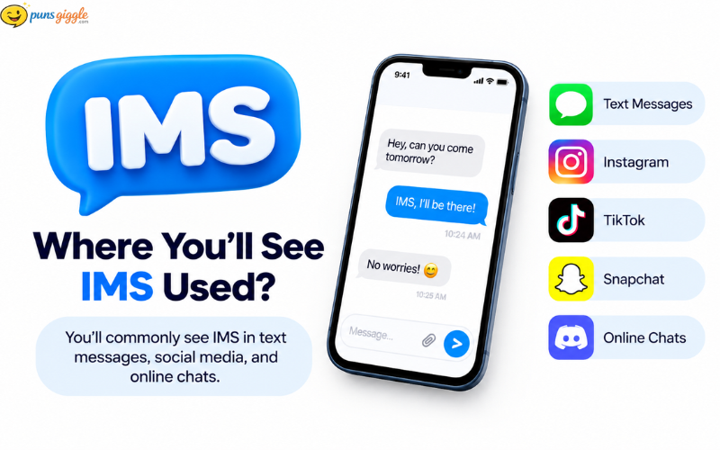 What Does IMS Mean in Text