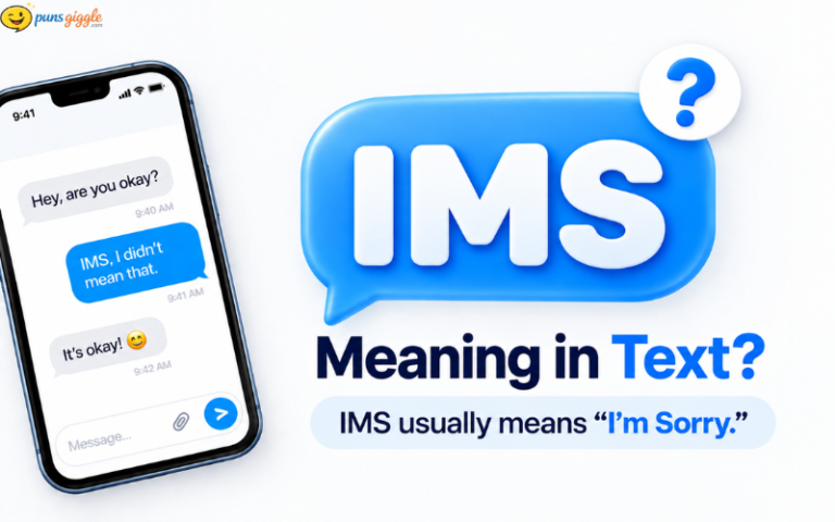 What Does IMS Mean in Text