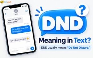 What Does DND Mean